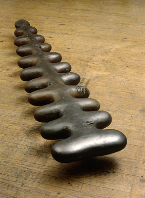 Spine
