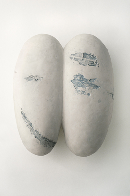 Mitosis Series no. 2