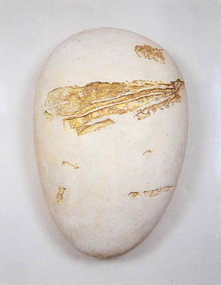 Zygote (Mitosis Series, no. 1)