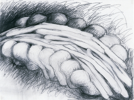 Study for Deposition